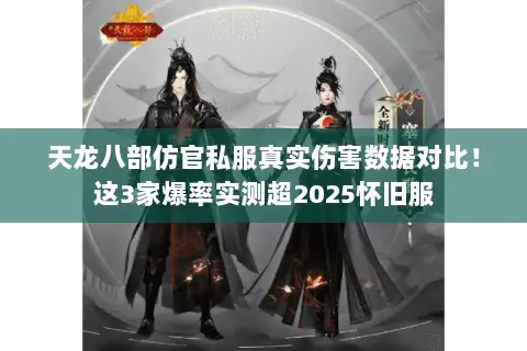 天龙八部仿官私服真实伤害数据对比！这3家爆率实测超2025怀旧服
