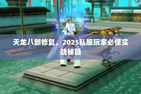 天龙八部修复，2025私服玩家必懂实战秘籍