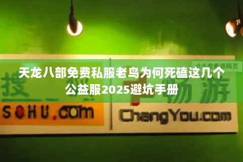 天龙八部免费私服老鸟为何死磕这几个公益服2025避坑手册 天龙八部免费私服老鸟为何死磕这几个公益服2025避坑手册
