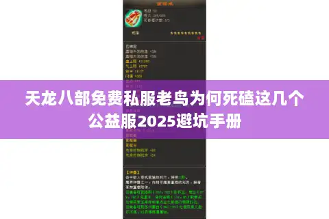 天龙八部免费私服老鸟为何死磕这几个公益服2025避坑手册 天龙八部免费私服老鸟为何死磕这几个公益服2025避坑手册