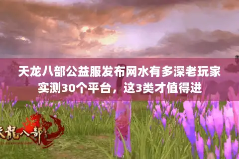 天龙八部公益服发布网水有多深老玩家实测30个平台，这3类才值得进