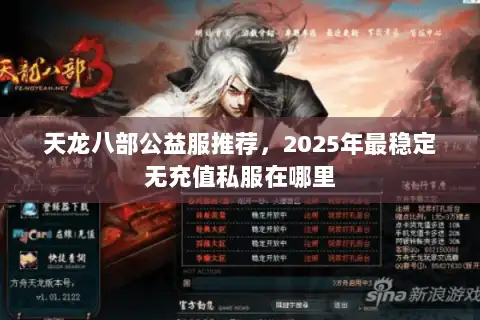天龙八部公益服推荐，2025年最稳定无充值私服在哪里
