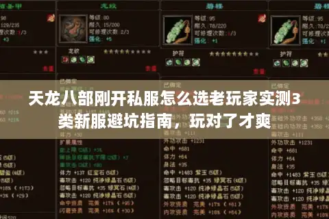 天龙八部刚开私服怎么选老玩家实测3类新服避坑指南，玩对了才爽