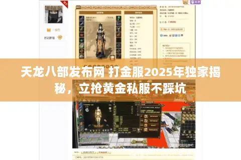 天龙八部发布网 打金服2025年独家揭秘，立抢黄金私服不踩坑