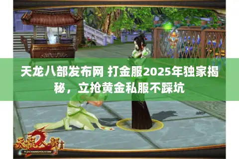 天龙八部发布网 打金服2025年独家揭秘，立抢黄金私服不踩坑