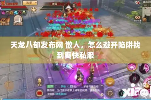 天龙八部发布网 散人，怎么避开陷阱找到爽快私服
