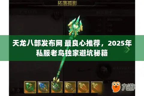 天龙八部发布网 最良心推荐，2025年私服老鸟独家避坑秘籍