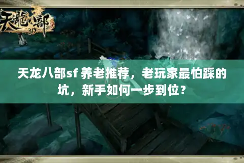 天龙八部sf 养老推荐，老玩家最怕踩的坑，新手如何一步到位？