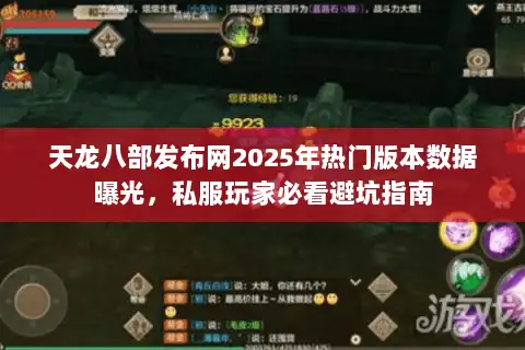 天龙八部发布网2025年热门版本数据曝光,私服玩家必看避坑指南 天龙八部发布网2025年热门版本数据曝光,私服玩家必看避坑指南