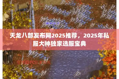 天龙八部发布网2025推荐,2025年私服大神独家选服宝典 天龙八部发布网2025推荐,2025年私服大神独家选服宝典