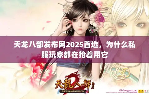 天龙八部发布网2025首选，为什么私服玩家都在抢着用它