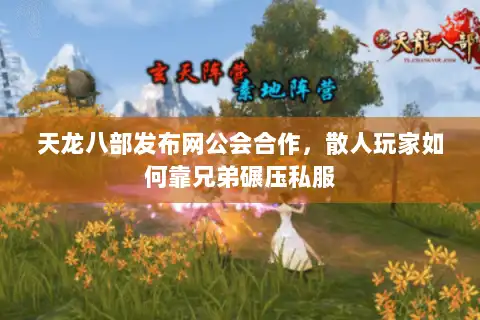 天龙八部发布网公会合作,散人玩家如何靠兄弟碾压私服 天龙八部发布网公会合作,散人玩家如何靠兄弟碾压私服