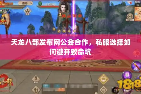 天龙八部发布网公会合作，私服选择如何避开致命坑
