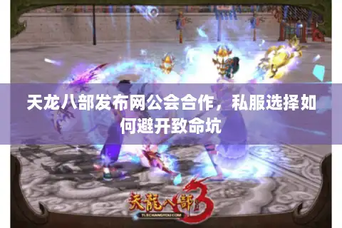天龙八部发布网公会合作，私服选择如何避开致命坑