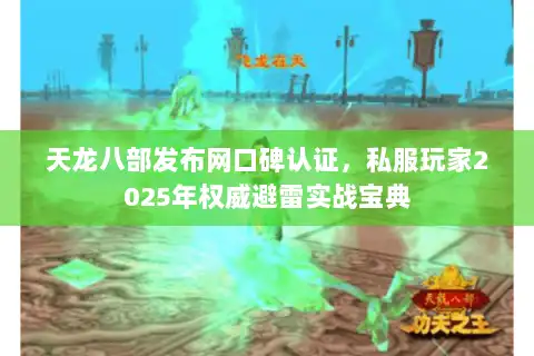 天龙八部发布网口碑认证，私服玩家2025年权威避雷实战宝典