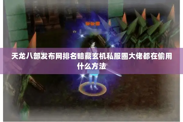 天龙八部发布网排名暗藏玄机私服圈大佬都在偷用什么方法