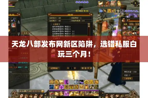 天龙八部发布网新区陷阱，选错私服白玩三个月！