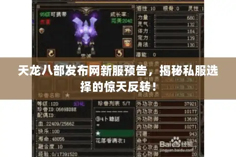 天龙八部发布网新服预告，揭秘私服选择的惊天反转！