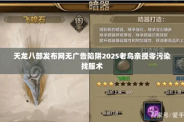 天龙八部发布网无广告陷阱2025老鸟亲授零污染找服术