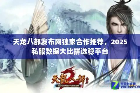 天龙八部发布网独家合作推荐，2025私服数据大比拼选稳平台