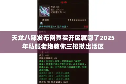 天龙八部发布网真实开区藏哪了2025年私服老炮教你三招揪出活区