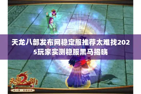 天龙八部发布网稳定服推荐太难找2025玩家实测稳服黑马揭晓