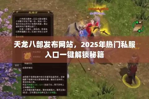 天龙八部发布网站，2025年热门私服入口一键解锁秘籍