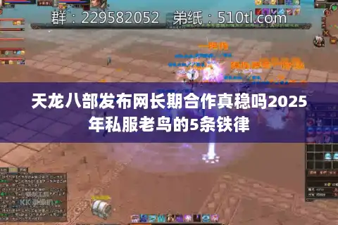 天龙八部发布网长期合作真稳吗2025年私服老鸟的5条铁律