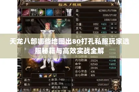 天龙八部哪些地图出80打孔私服玩家选服秘籍与高效实战全解