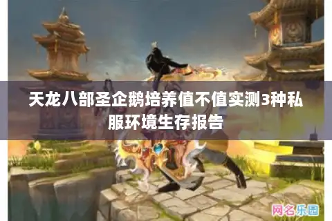 天龙八部圣企鹅培养值不值实测3种私服环境生存报告