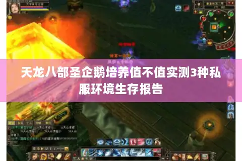 天龙八部圣企鹅培养值不值实测3种私服环境生存报告