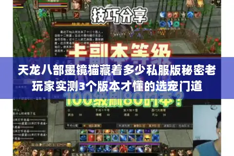 天龙八部墨镜猫藏着多少私服版秘密老玩家实测3个版本才懂的选宠门道