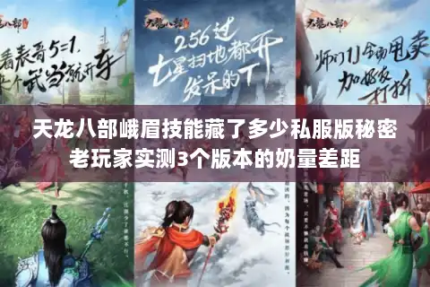 天龙八部峨眉技能藏了多少私服版秘密老玩家实测3个版本的奶量差距