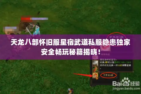 天龙八部怀旧服星宿武道私服隐患独家安全畅玩秘籍揭晓! 天龙八部怀旧服星宿武道私服隐患独家安全畅玩秘籍揭晓!