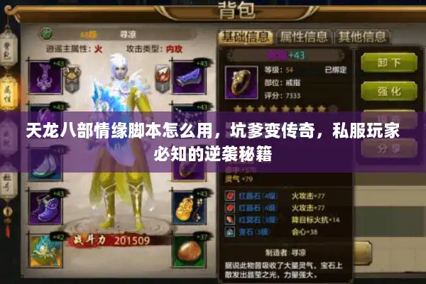 天龙八部情缘脚本怎么用，坑爹变传奇，私服玩家必知的逆袭秘籍