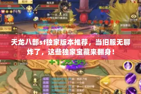 天龙八部sf独家版本推荐，当旧服无聊炸了，这些独家宝藏来翻身！