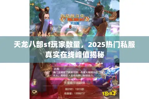 天龙八部sf玩家数量，2025热门私服真实在线峰值揭秘