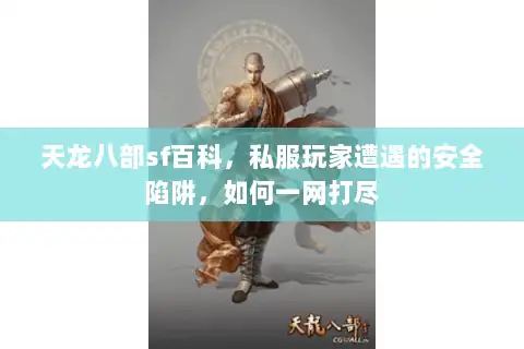 天龙八部sf百科，私服玩家遭遇的安全陷阱，如何一网打尽