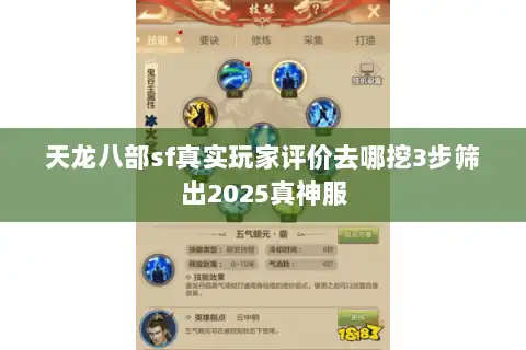 天龙八部sf真实玩家评价去哪挖3步筛出2025真神服