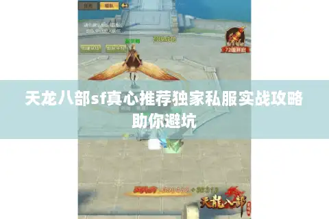 天龙八部sf真心推荐独家私服实战攻略助你避坑