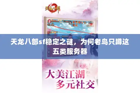 天龙八部sf稳定之谜，为何老鸟只蹲这五类服务器