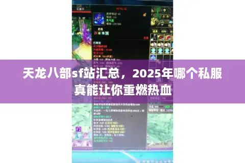 天龙八部sf站汇总，2025年哪个私服真能让你重燃热血