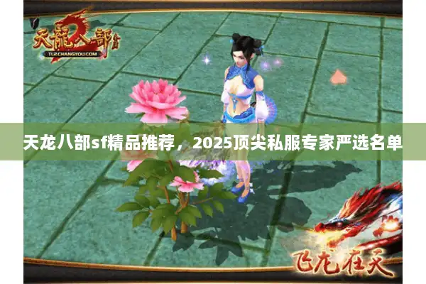 天龙八部sf精品推荐，2025顶尖私服专家严选名单