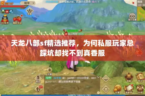 天龙八部sf精选推荐，为何私服玩家总踩坑却找不到真香服