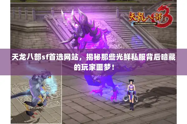 天龙八部sf首选网站，揭秘那些光鲜私服背后暗藏的玩家噩梦！