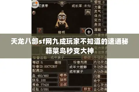 天龙八部sf网九成玩家不知道的速通秘籍菜鸟秒变大神