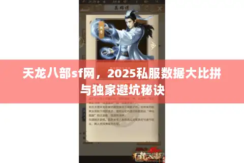 天龙八部sf网，2025私服数据大比拼与独家避坑秘诀