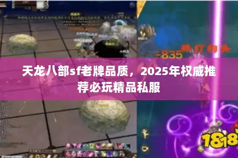 天龙八部sf老牌品质，2025年权威推荐必玩精品私服