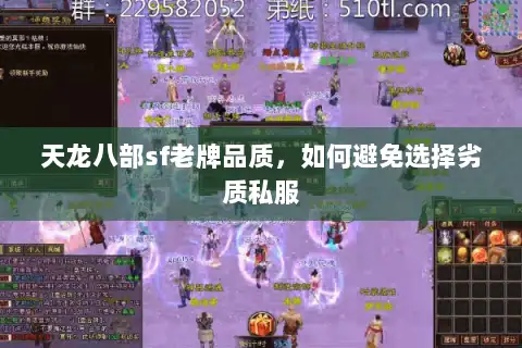 天龙八部sf老牌品质，如何避免选择劣质私服