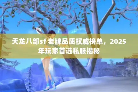 天龙八部sf 老牌品质权威榜单，2025年玩家首选私服揭秘
